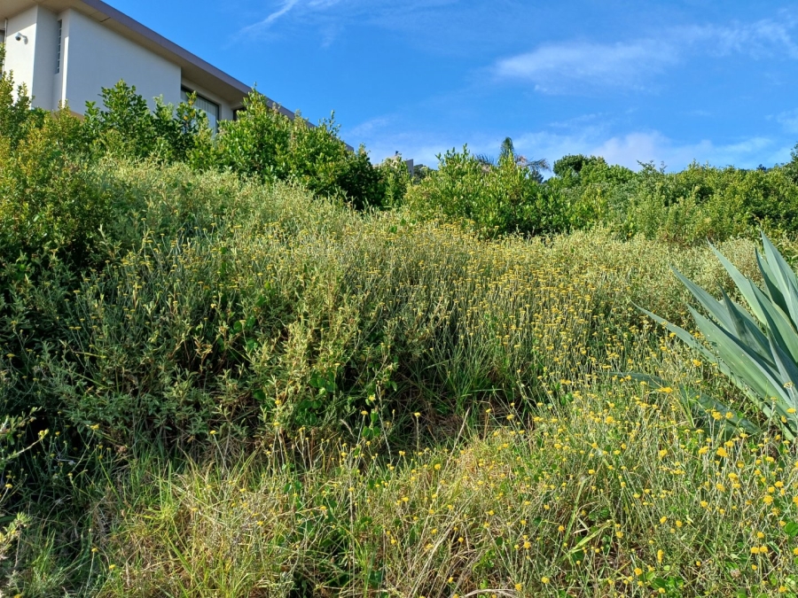  Bedroom Property for Sale in Outeniqua Strand Western Cape